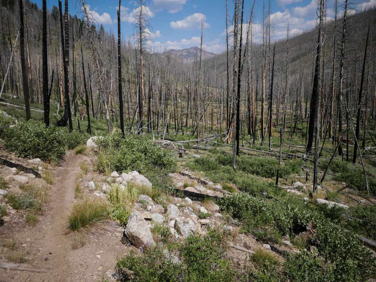 Sunday Creek photo 6