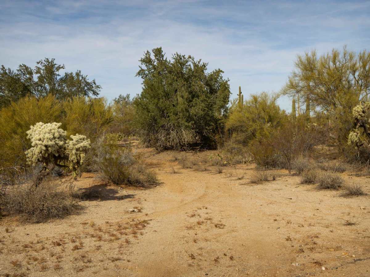 Iron Valley South trail photo