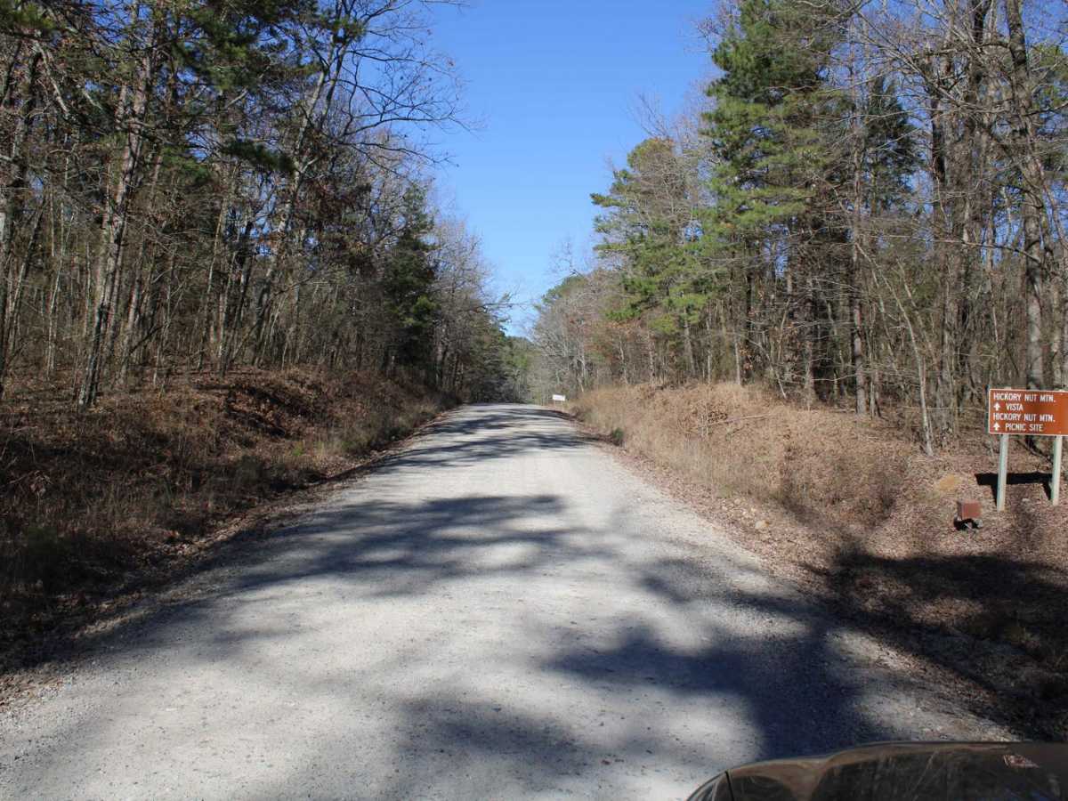 Hickory Nut Mountain photo 2