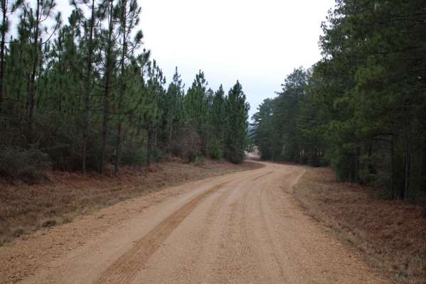 Plane Road (545)