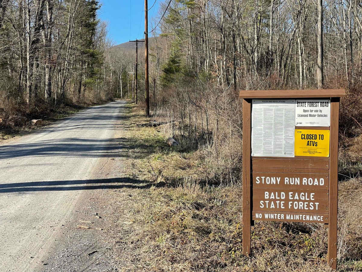 Stony Run Road trail photo