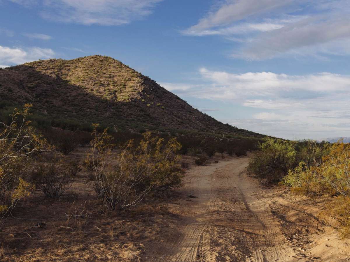 Jam Ranch Cutthrough photo 2