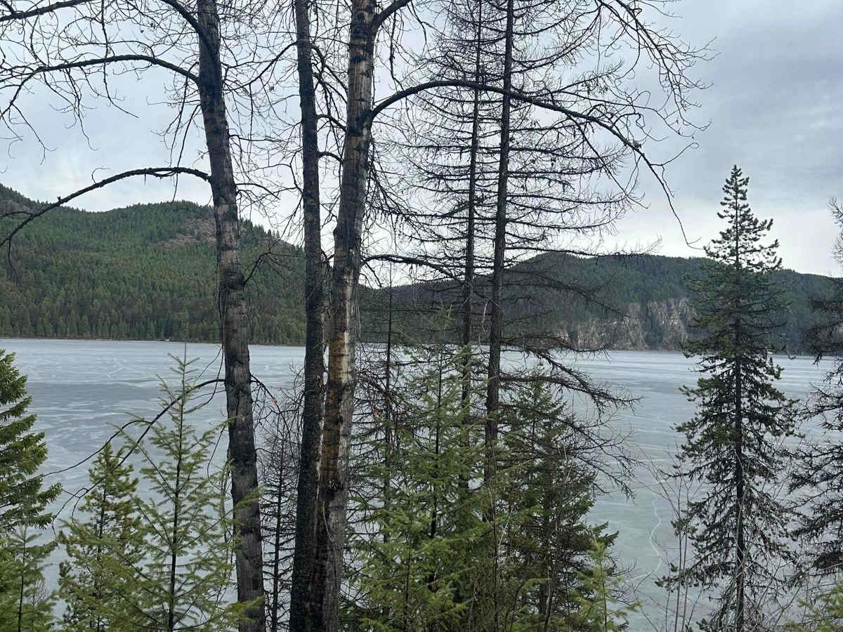 Tally Lake photo 6