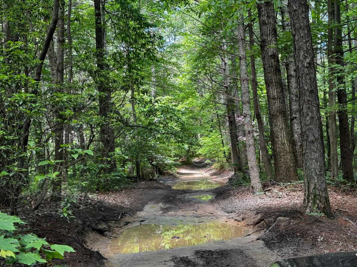 Brown Mountain Trail 8 photo 6