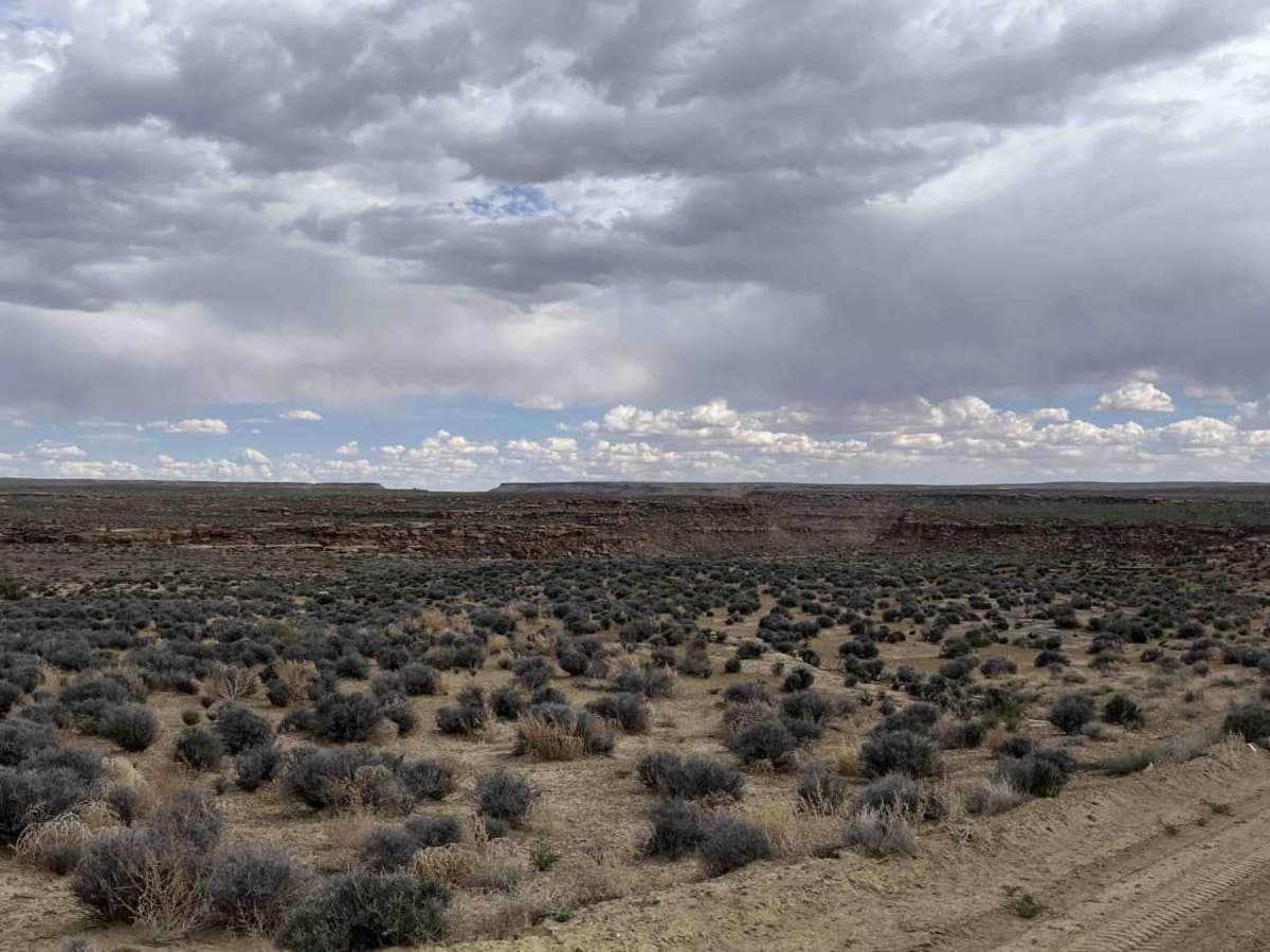 Heads of the Creek Road photo 6