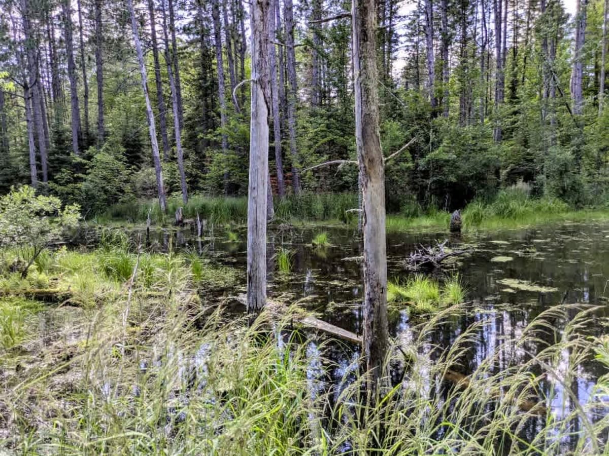 McNiven Spur C photo 3
