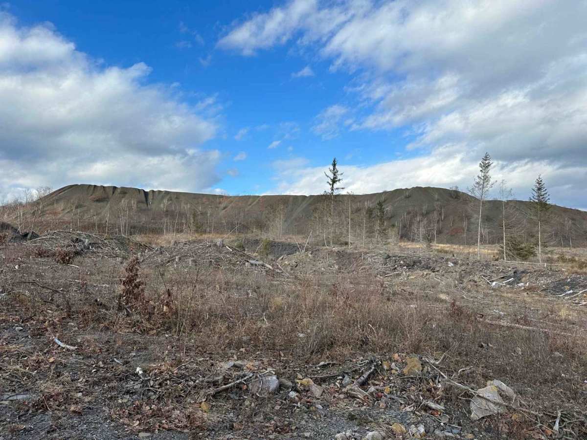 Ashland 187 photo 3
