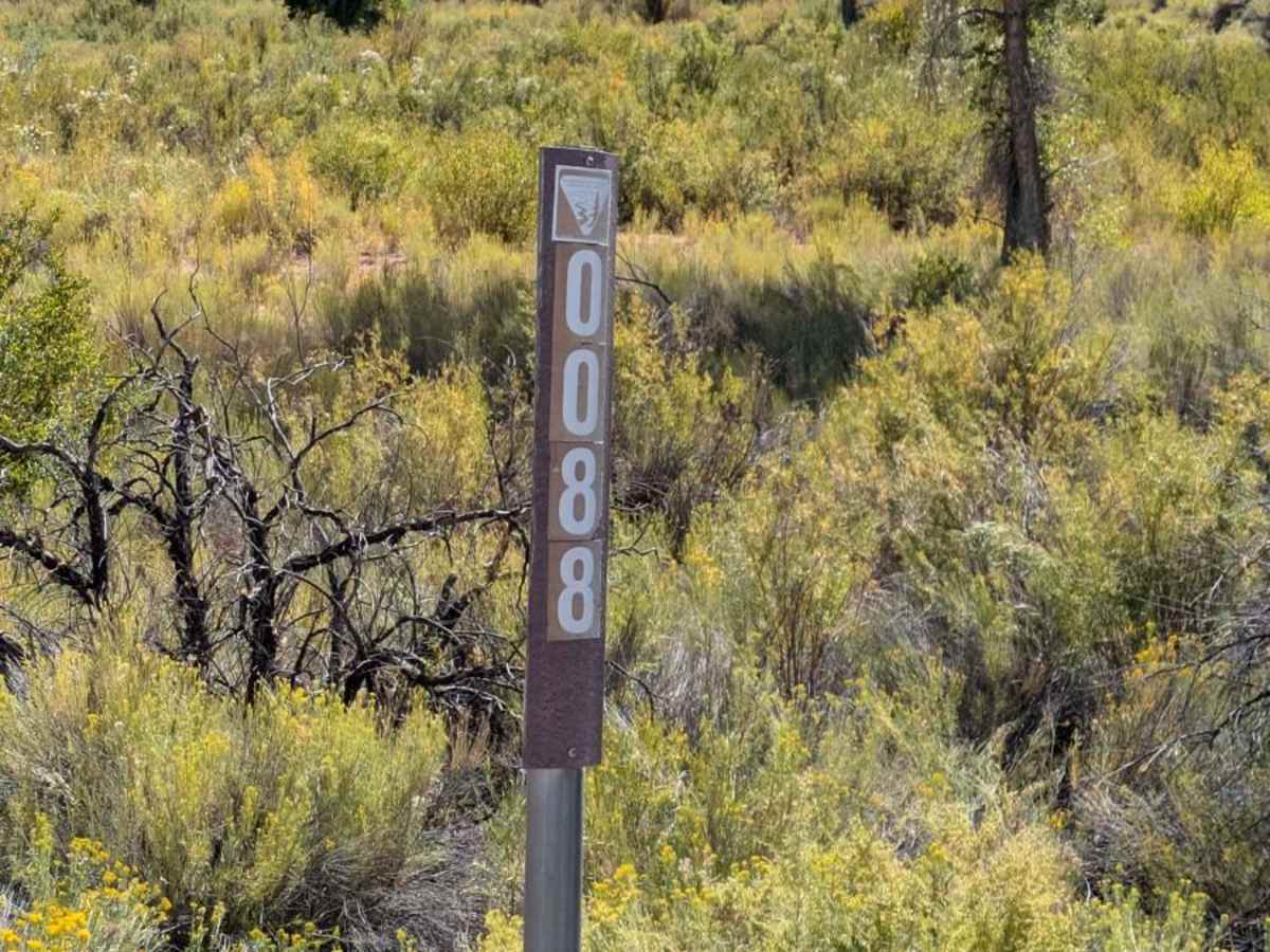 Rattlesnake Ranch Road - 0088 photo 2