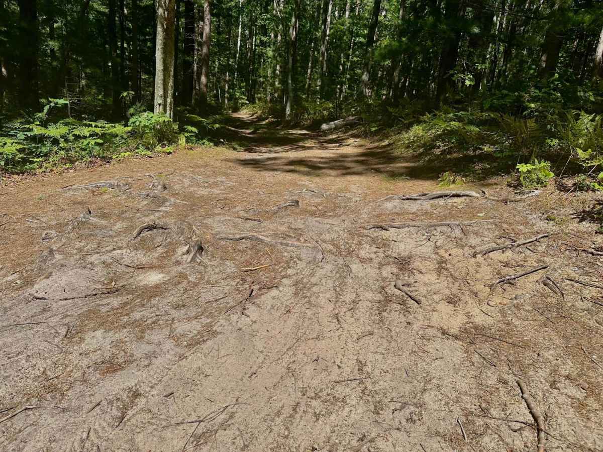 Deer Lake Road photo 3