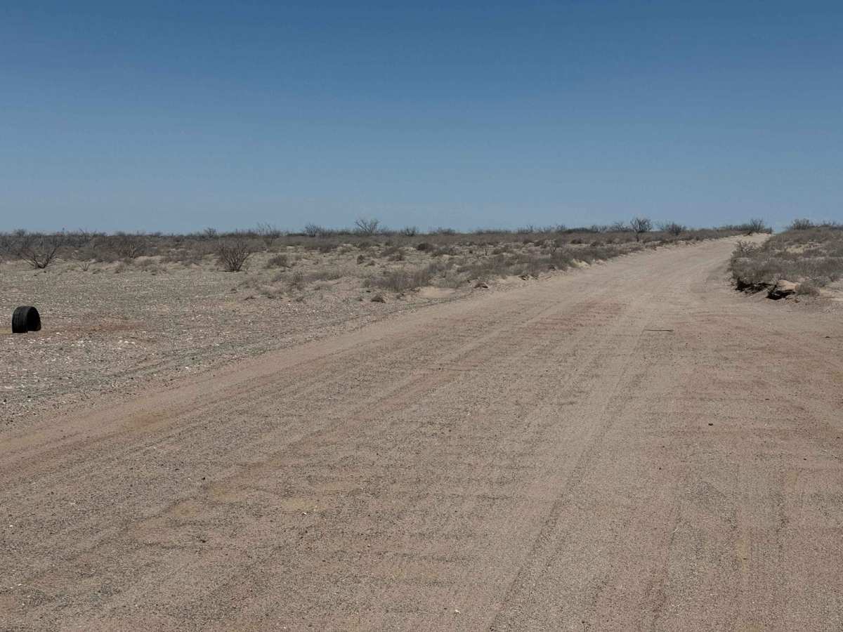 Upper Salt Flats photo 3