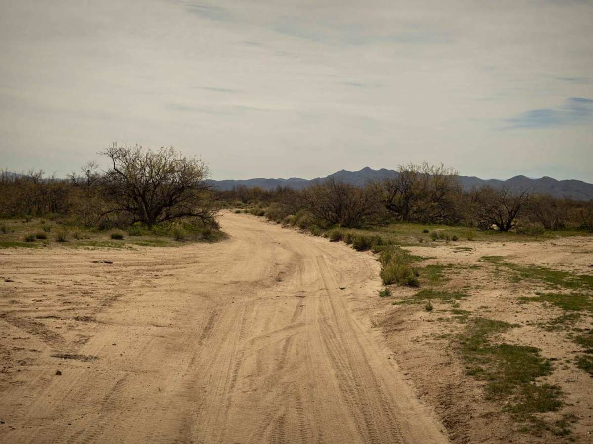 Burton Tank trail photo