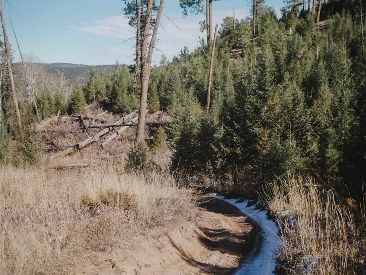 674 Flatrock ATV Trail photo 6