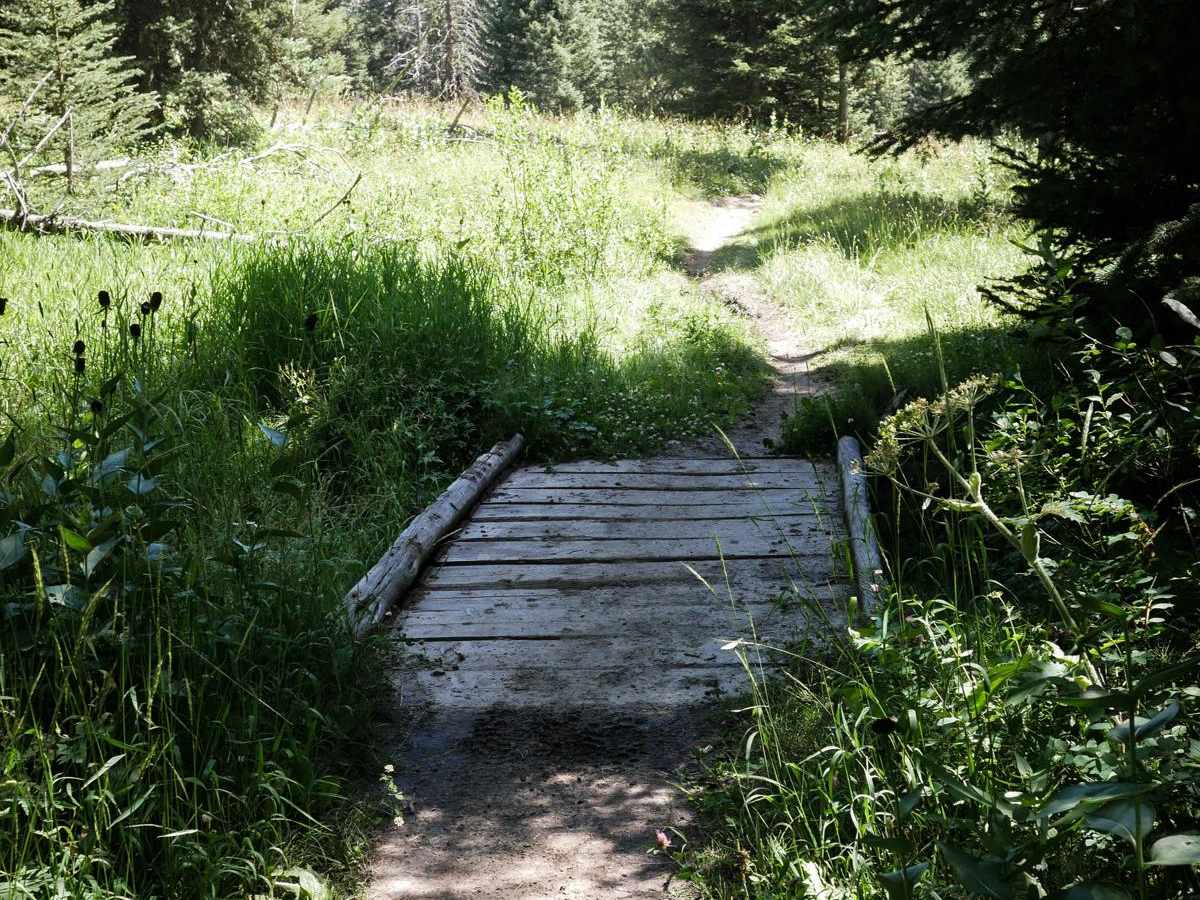 Cinnamon Trail photo 6