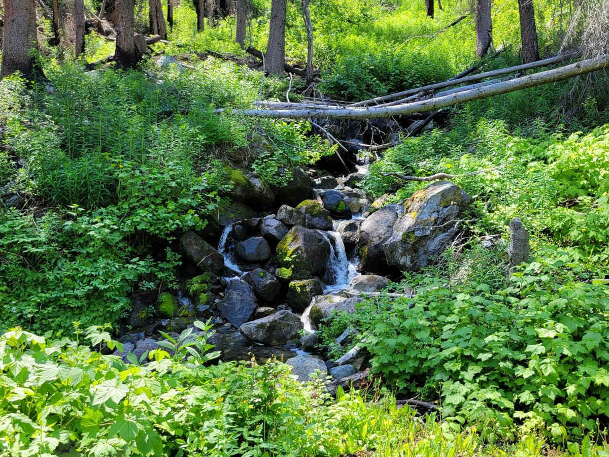 NF 400 - Buttermilk Butte photo 4