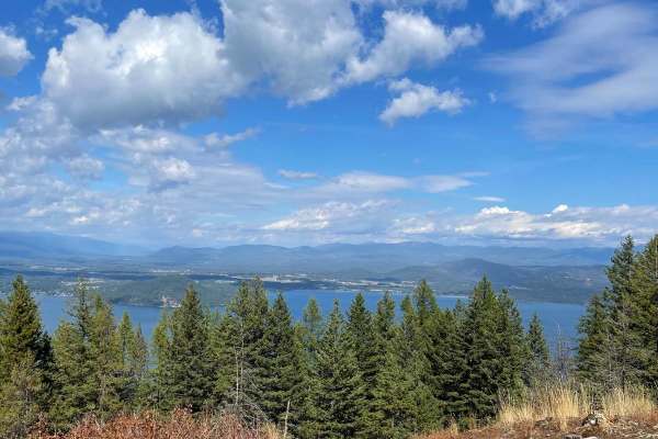 Contest Mountain- 2642