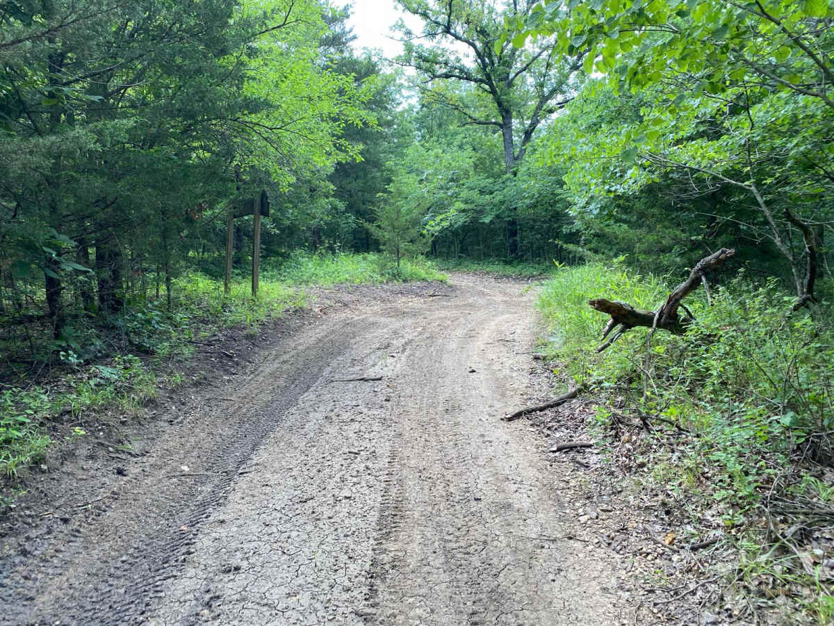 Unpaved Road photo 4