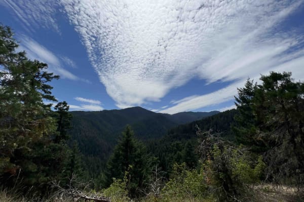 Larison Creek Trailhead Upper 1202-101
