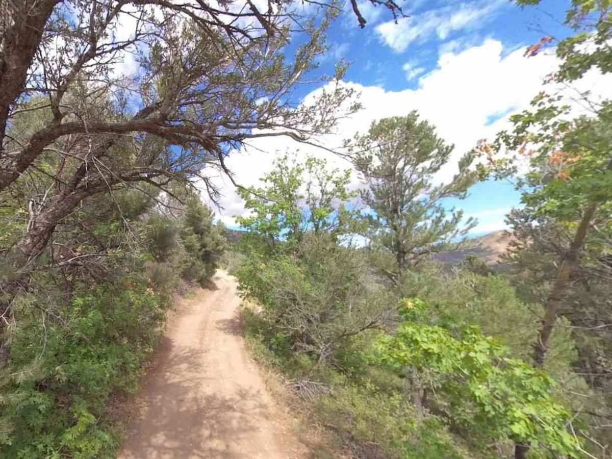 Broad Canyon Road - UCB823 photo 3
