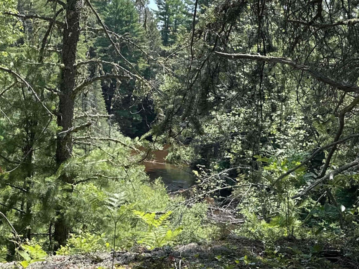 Fox River Trail photo 6