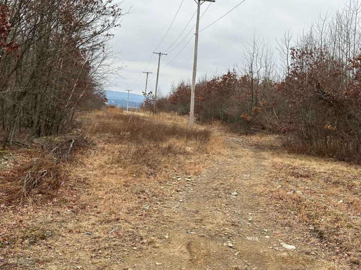 Darkwater 46 photo 2