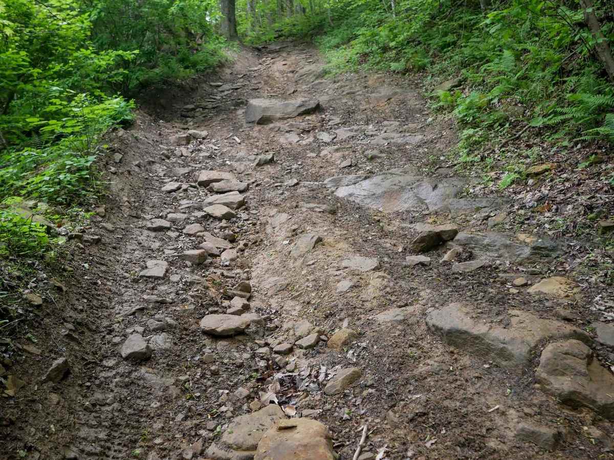 BM 94 trail photo