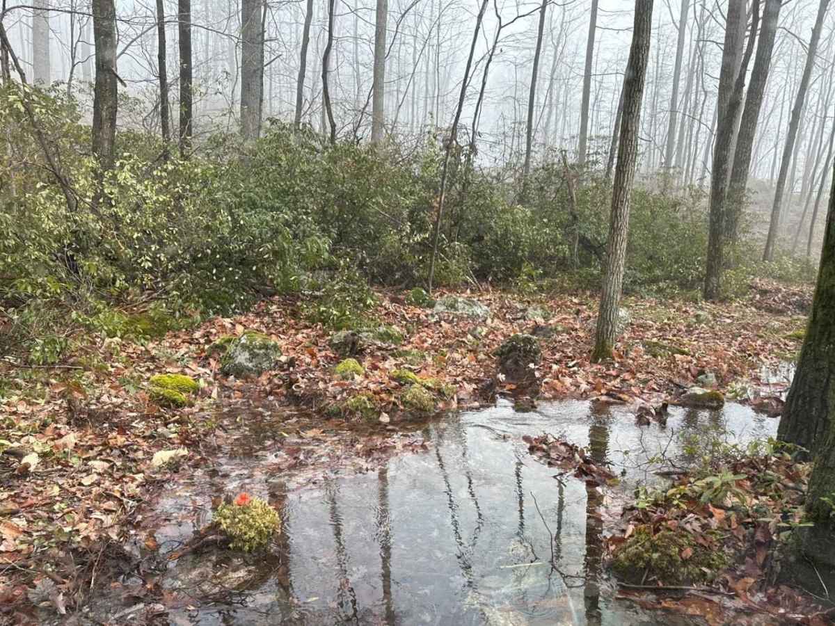 Darkwater 109 photo 4