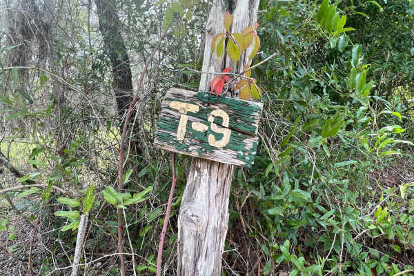 Crooms Wildlife Management | Trail 9