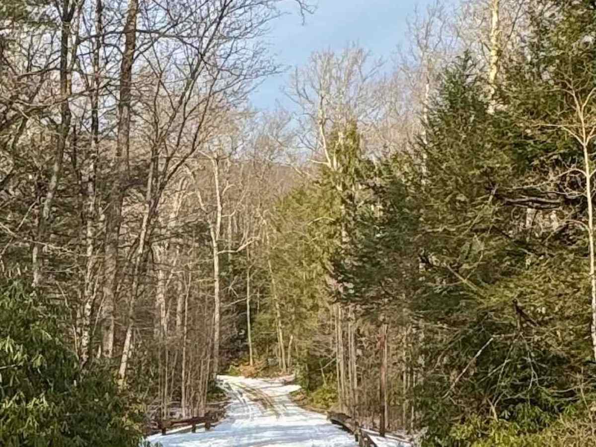 Brandon Road photo 2