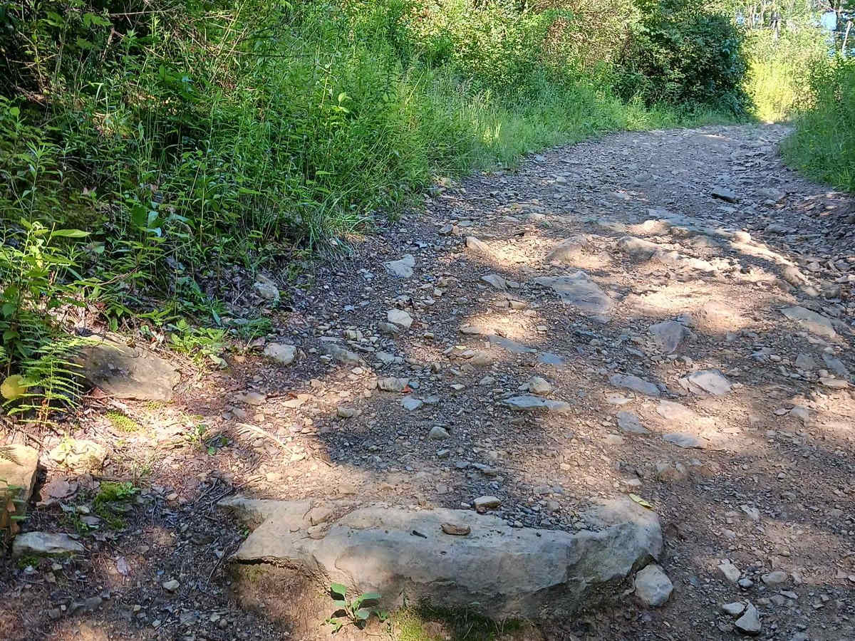 Trail 12P - Rock Run Recreation Area photo 5