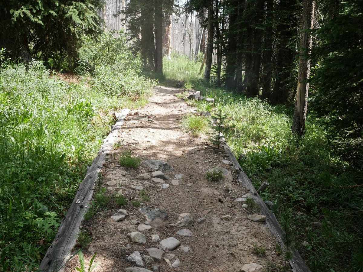 Basin Butte - Prospect Creek photo 2