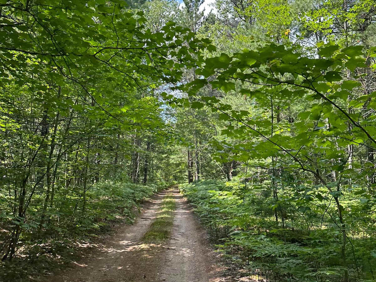 County Road 421 North Spur  photo 5