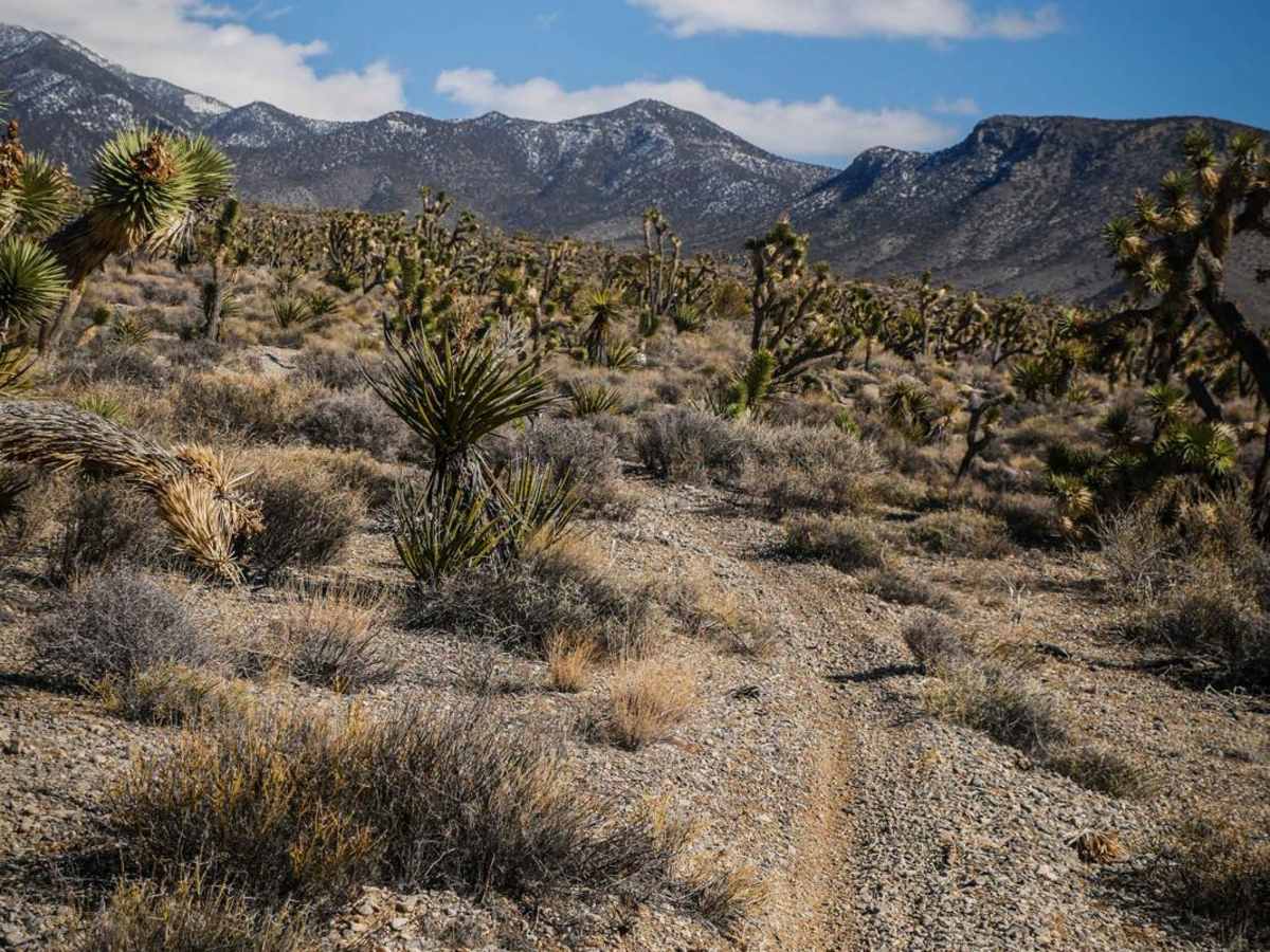Carpenter Canyon Trail photo 4