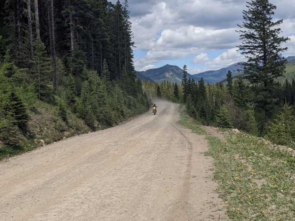 Alexander Creek Forestry Road photo 3
