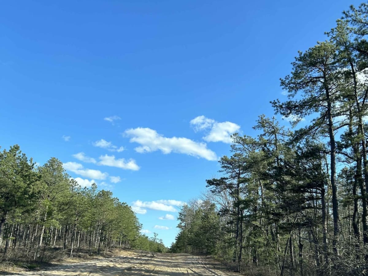 Apple Pie Fire Tower Trail photo 5