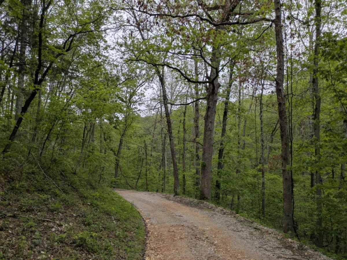 Tie Ridge Road photo 6