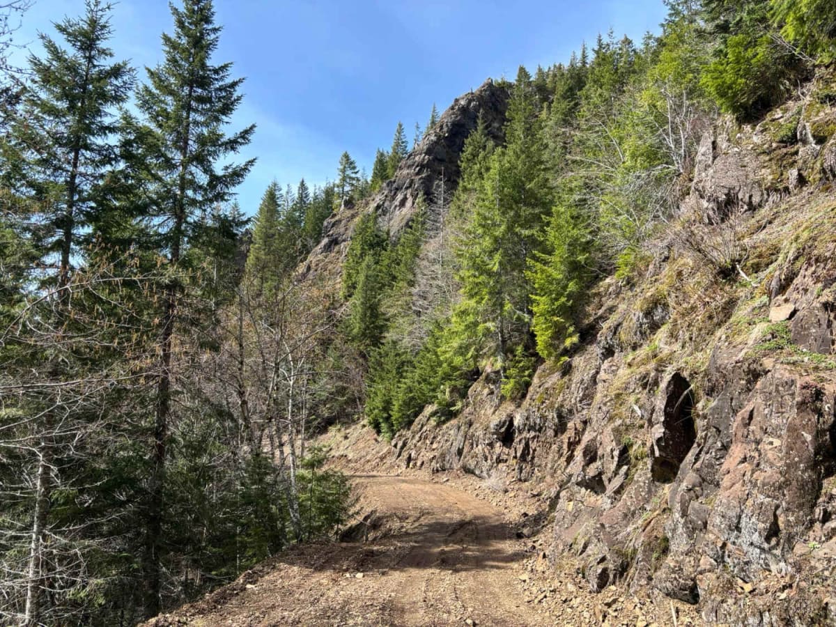 Firebreak 3 East trail photo