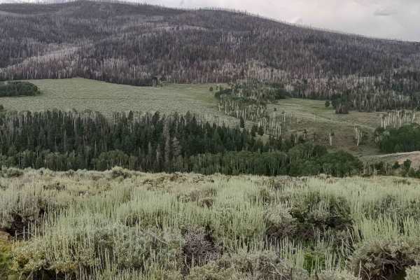Interconnect Spur (FS 41186, 42468)