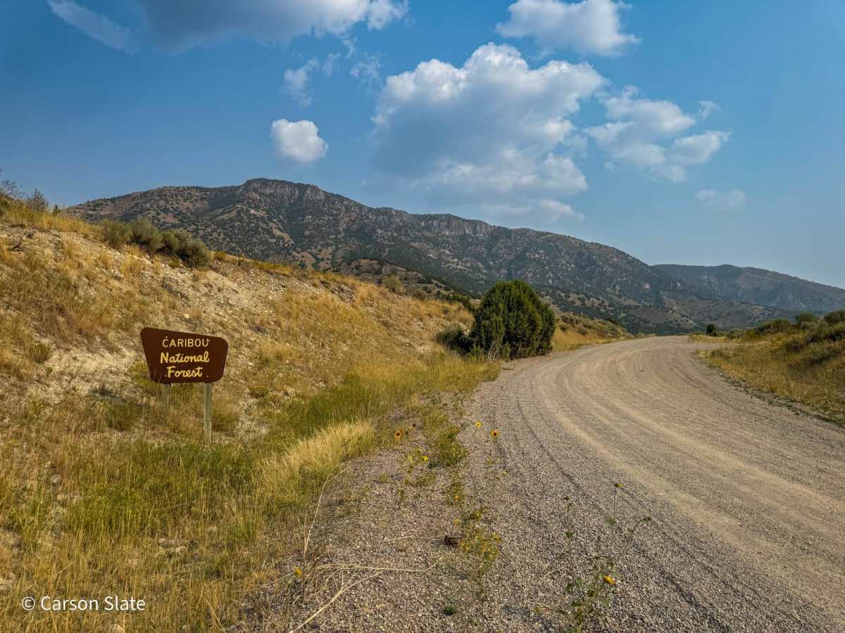 Two-Mile Canyon trail photo