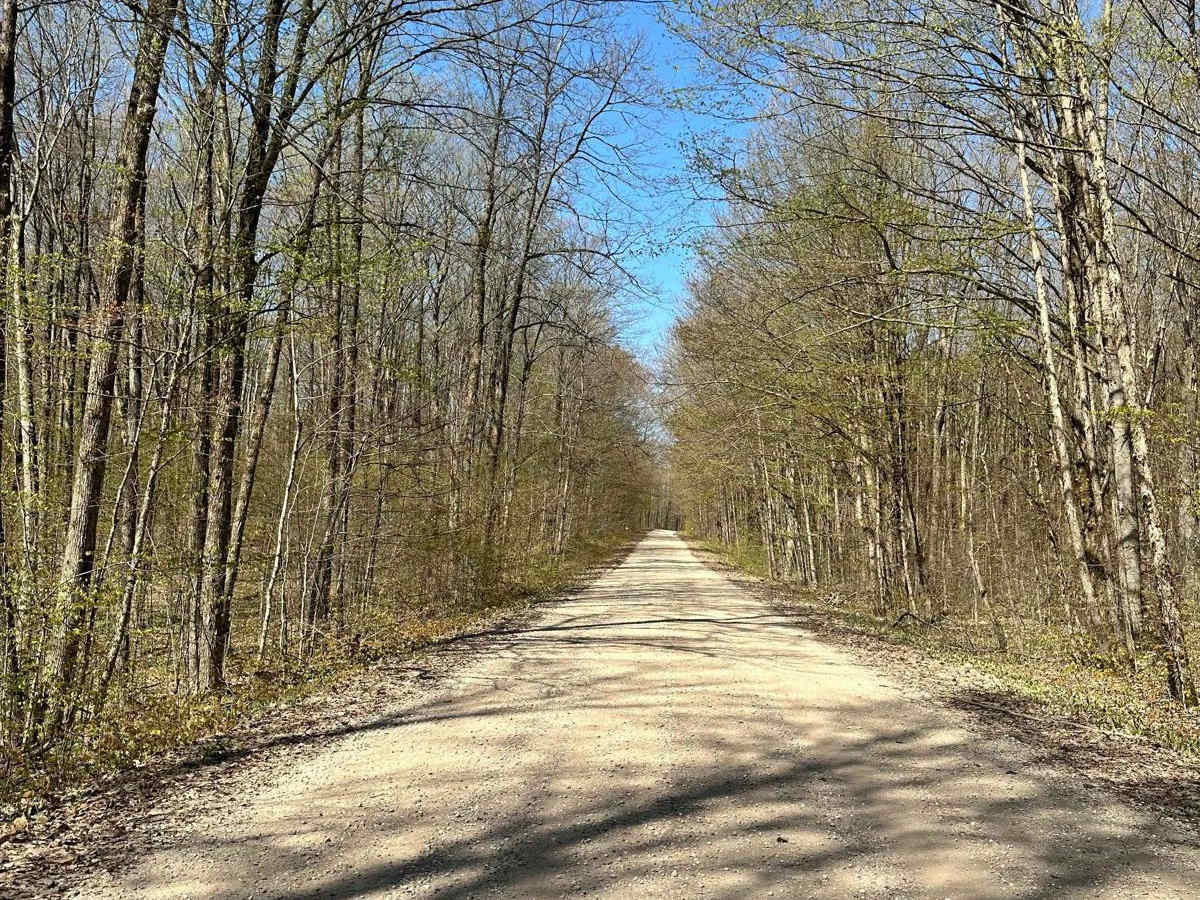 Cadillac Area ORV/OHV Scenic Ride - Part 13 photo 4