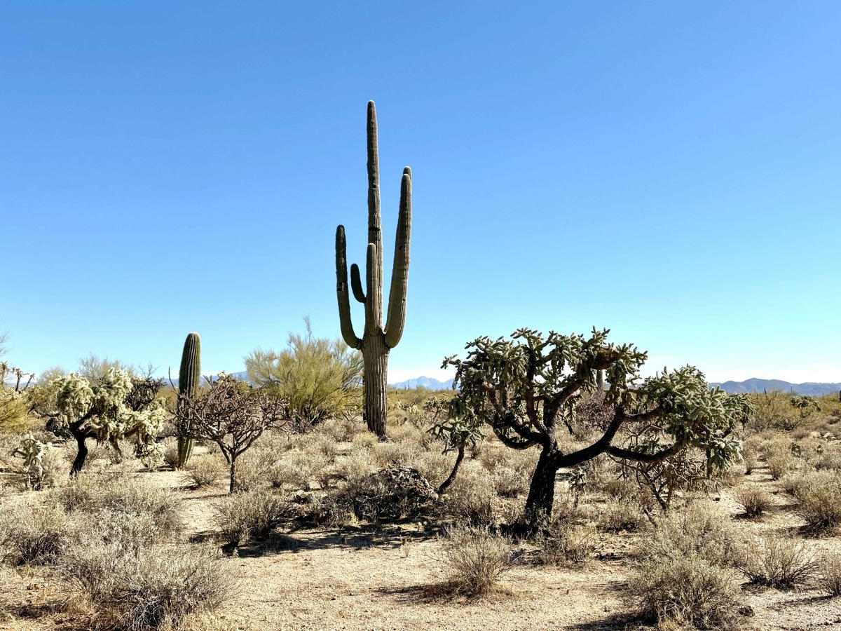 Southwest Goff Ranch Road trail photo
