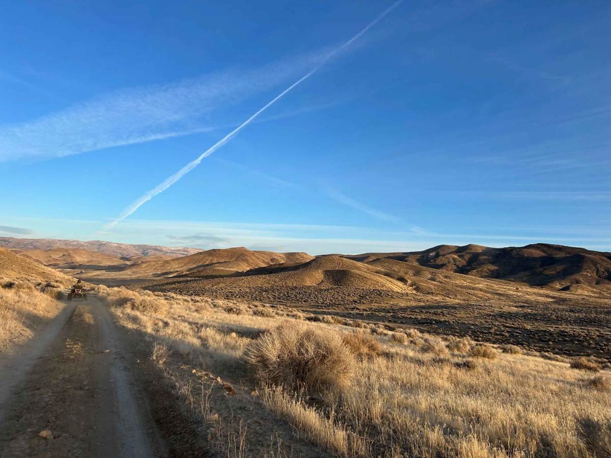 Wildhorse Track trail photo