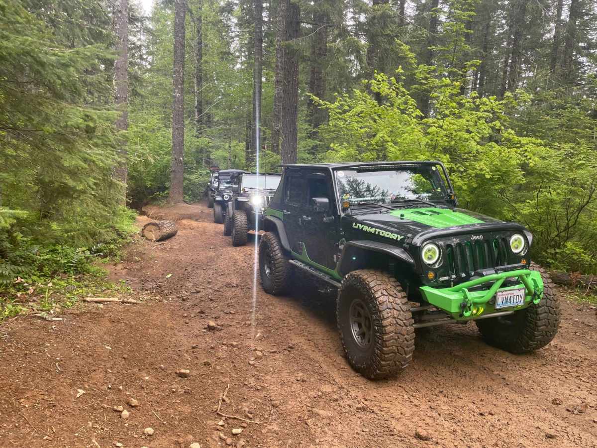 Cedar Tree - Jeep Badge of Honor Trail trail photo