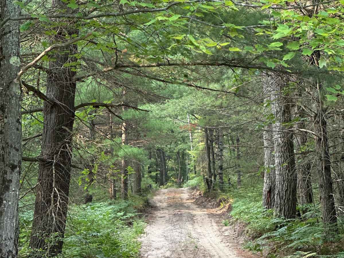 North Carmean Road Part 1 photo 2