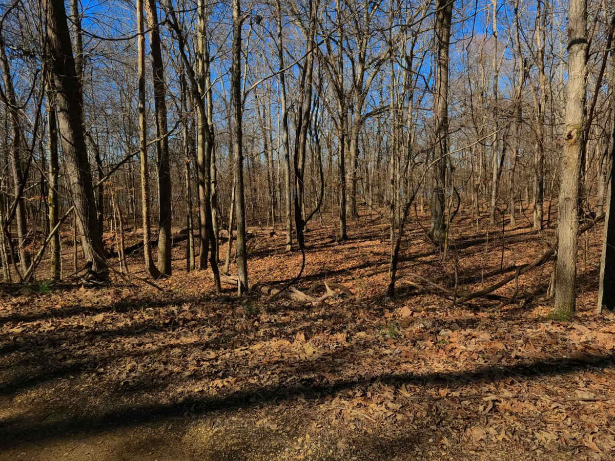 Smith Cemetery Road - FS 120 photo 5