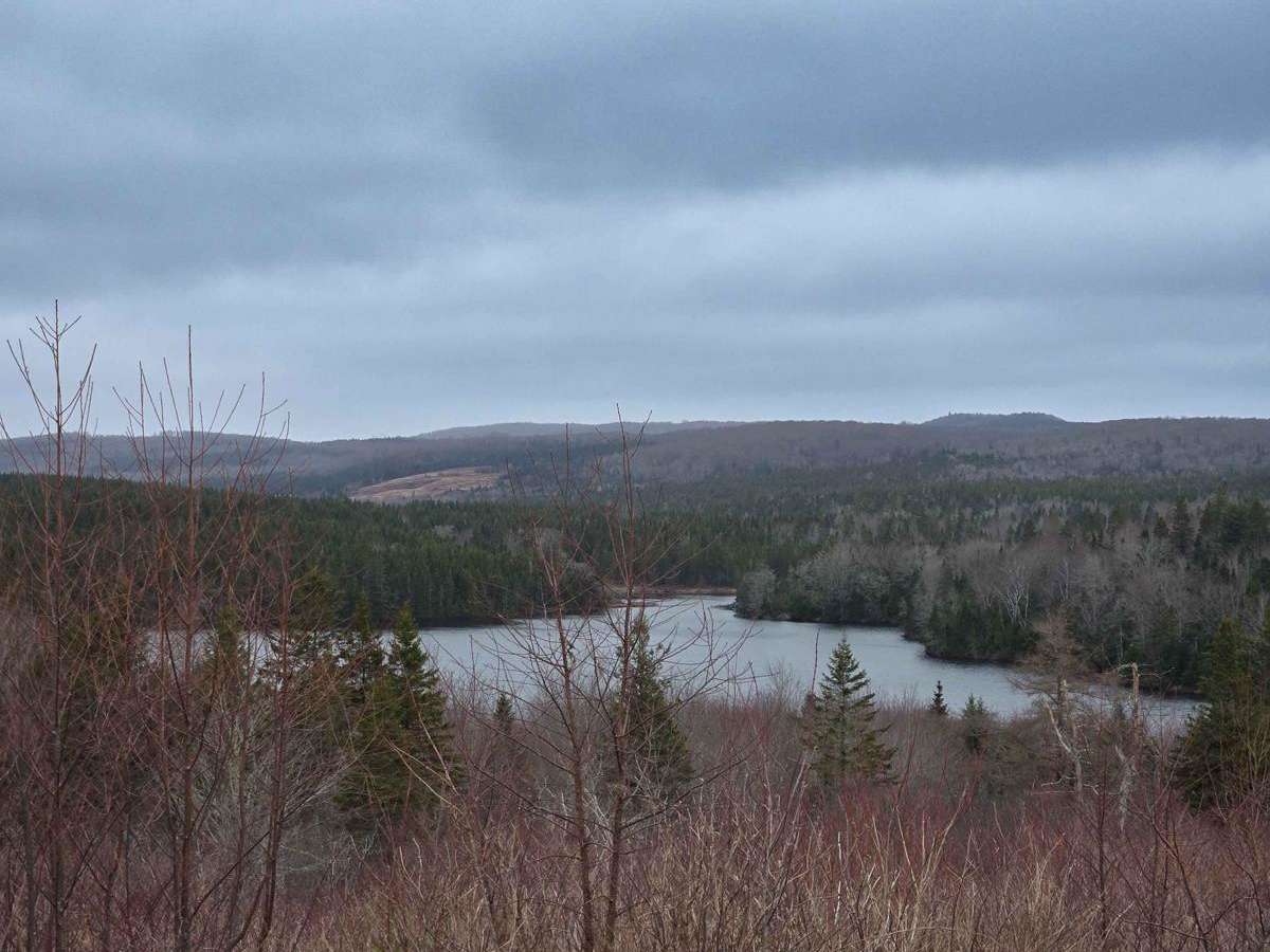 Argyle Road trail photo