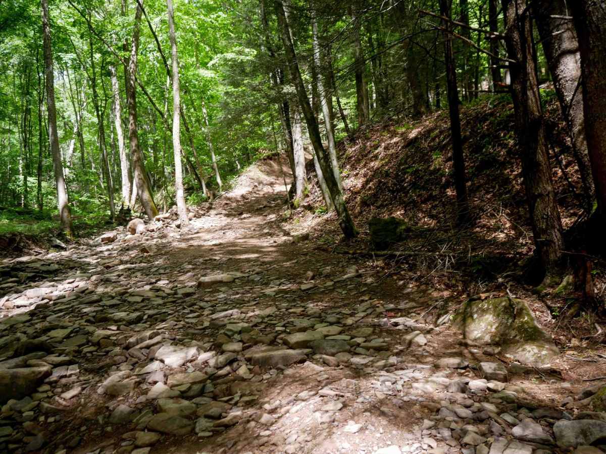 Trail 7 photo 3