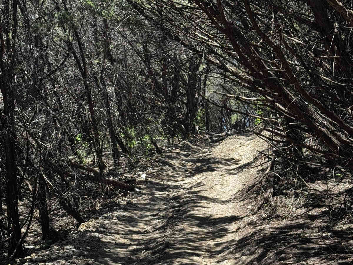 Riley's Ridge photo 4