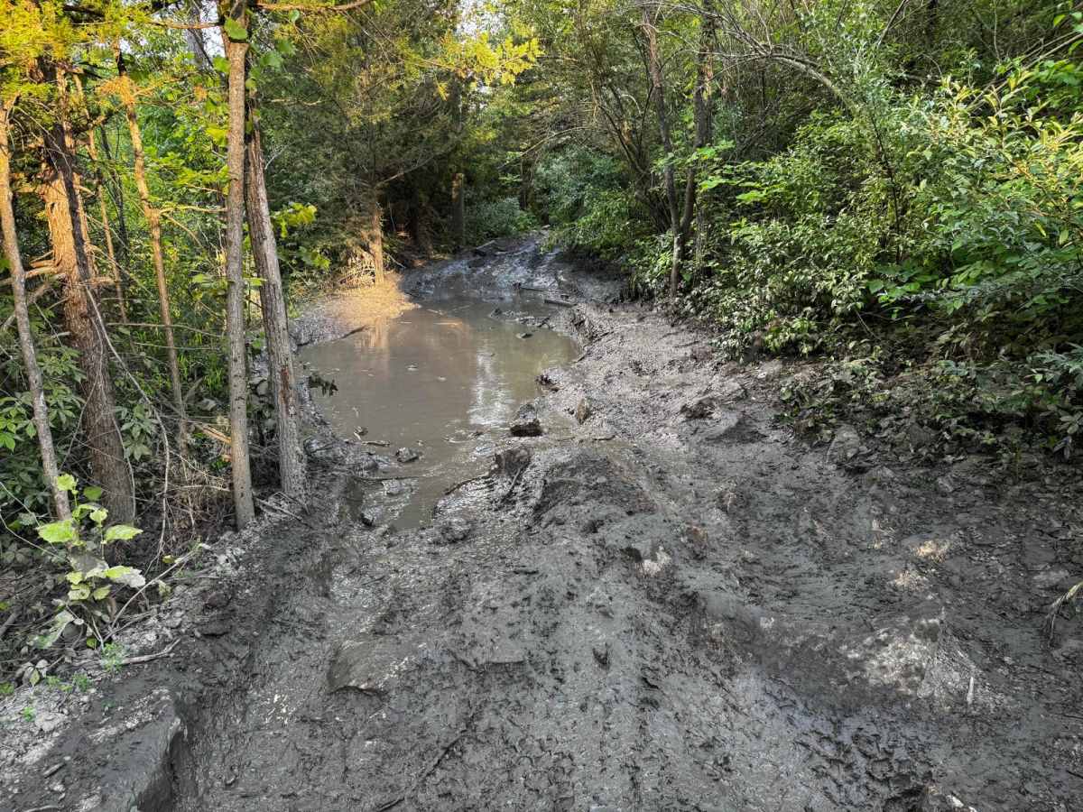 Jeep Trail 82 photo 6
