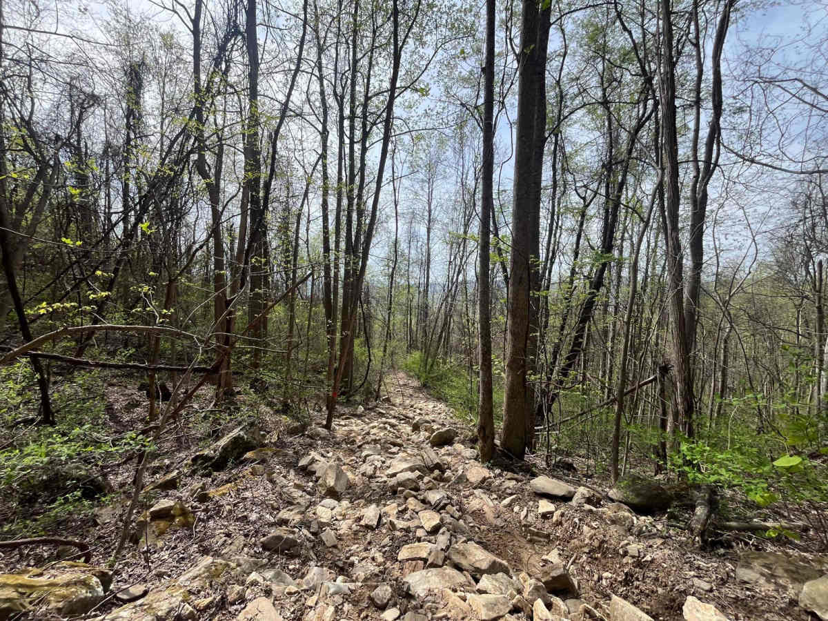 Devil's Backbone - 93B trail photo