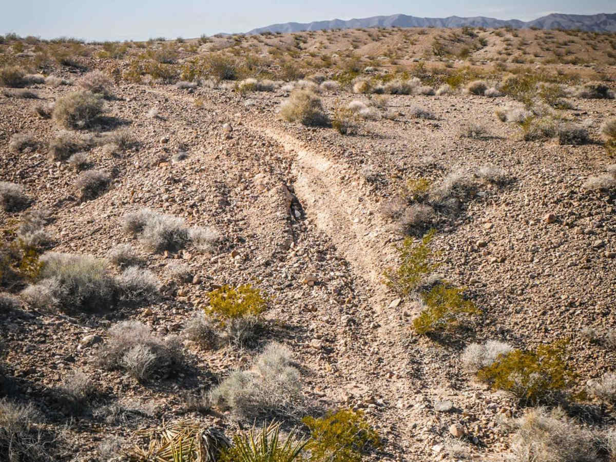 Shorts Trail trail photo